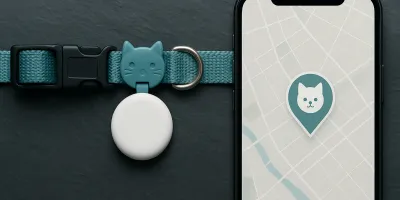 Small cat wearing a collar with a Bluetooth tracker tag attached sitting on a fence