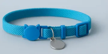 Best Cat Collars in 2026: Breakaway Safety Picks
