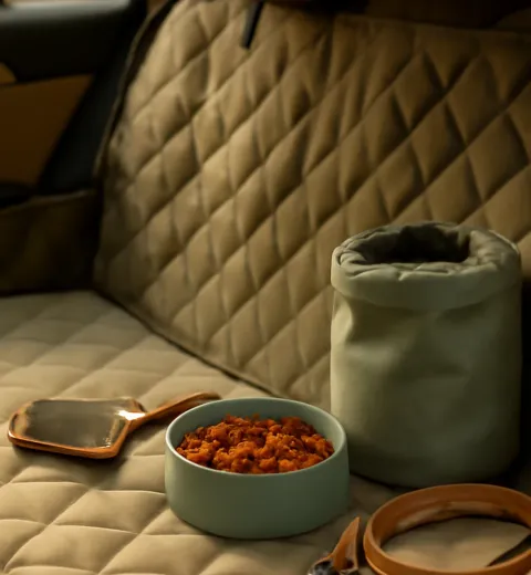 Best Dog Car Seat Covers for Shedding Dogs: Safer Hammocks, Benches, and Liners