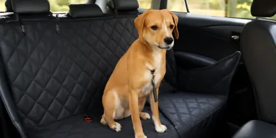 Best Dog Car Seat Covers for Hammock Safety: Protect Seats Without Losing Restraint Access