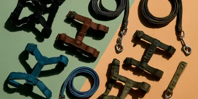 Best Escape-Proof Cat Harnesses for 2026