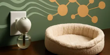 Do Cat Pheromone Diffusers Work? What the Evidence Actually Supports