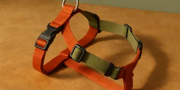 How to Fit a Dog Harness Safely: The Two-Finger, Gait, and Chafe Check